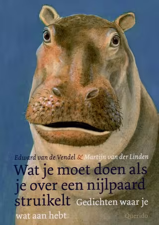 A big drawing of a hippo that looks a little sad